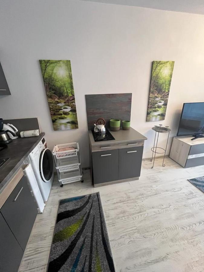 Apartament Acasa Sf.Gheorghe Sfantu Gheorghe  Exterior photo